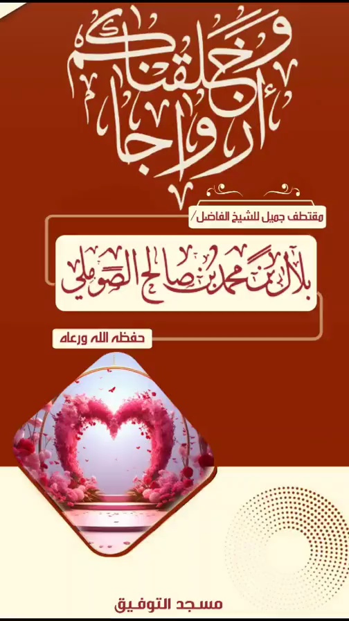 صورة الفيديو