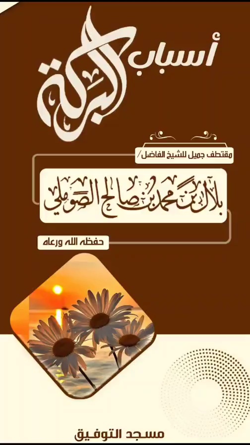 صورة الفيديو