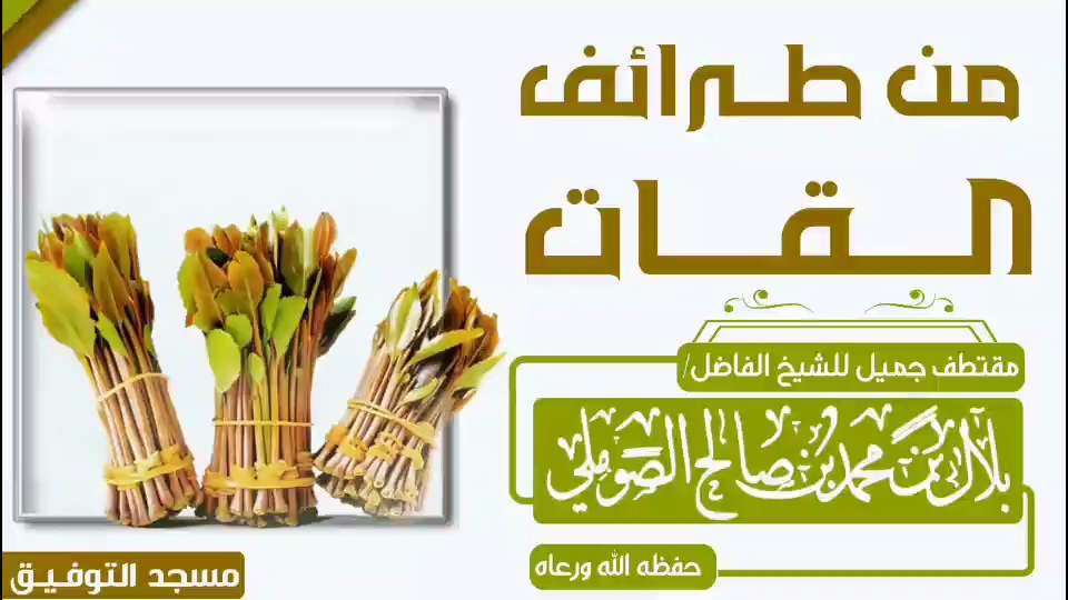 صورة الفيديو