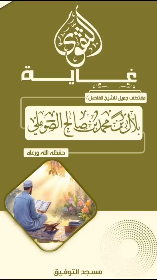 صورة الفيديو