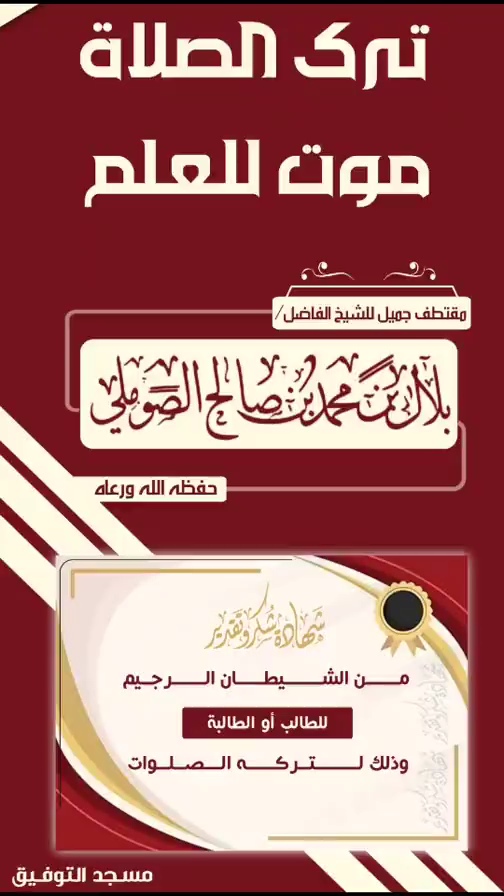 صورة الفيديو