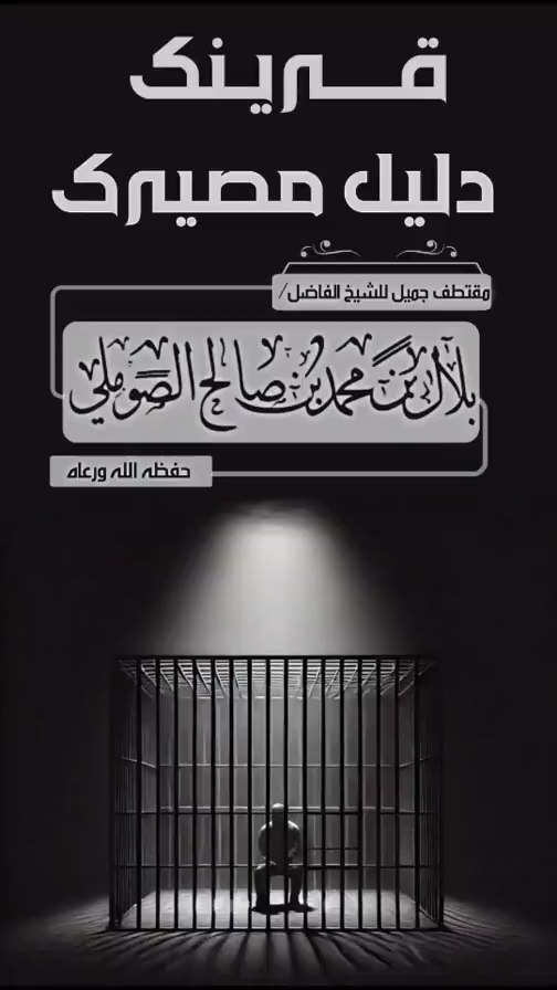 صورة الفيديو