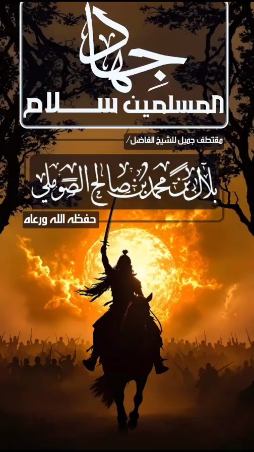 صورة الفيديو