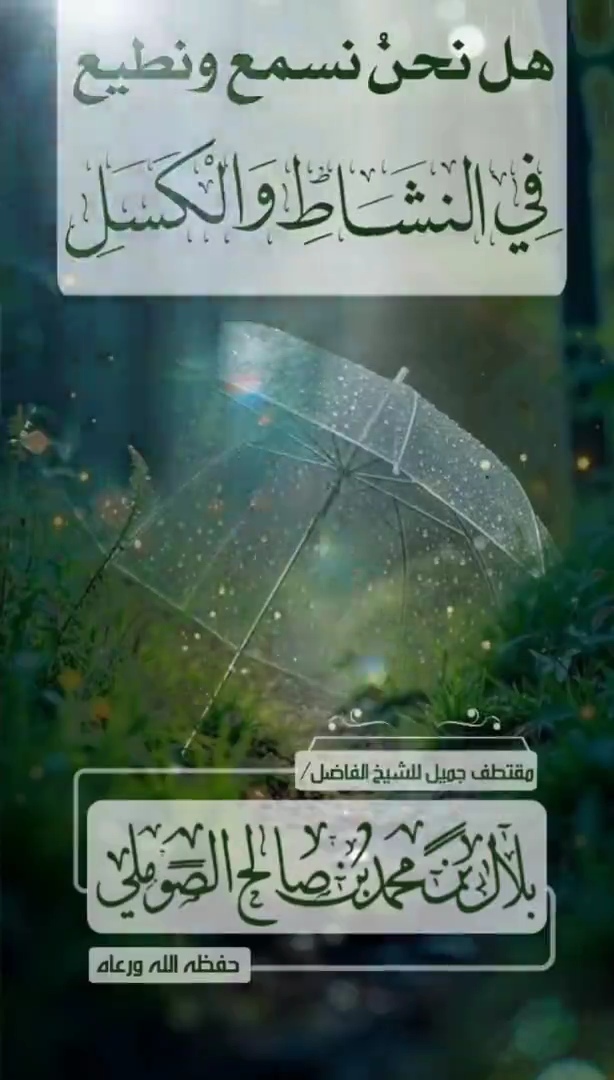 صورة الفيديو