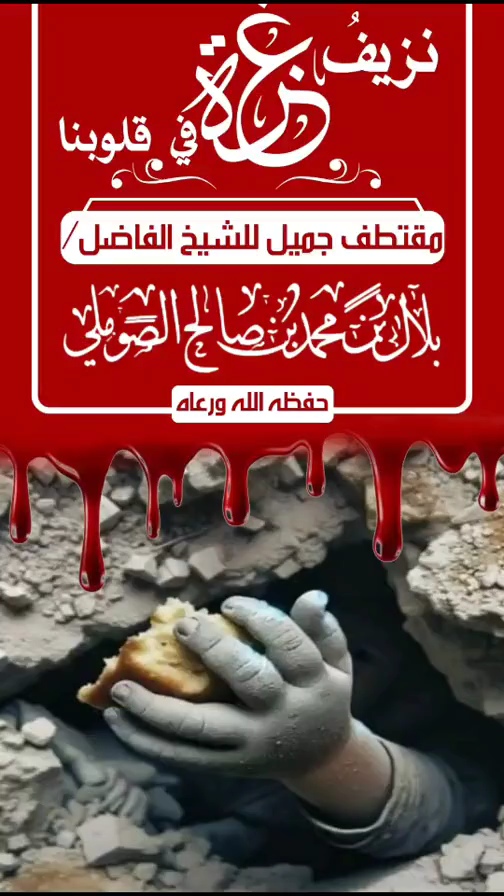 صورة الفيديو