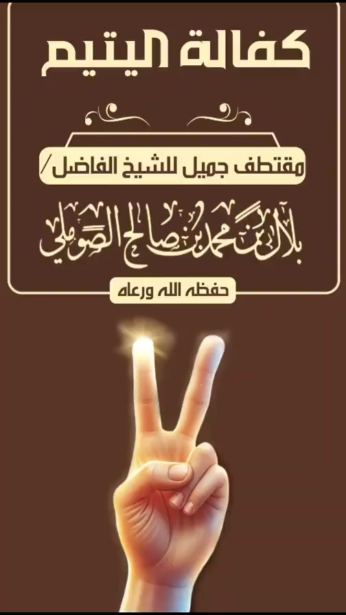 صورة الفيديو