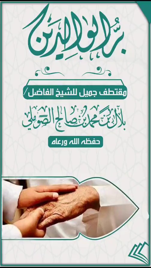 صورة الفيديو