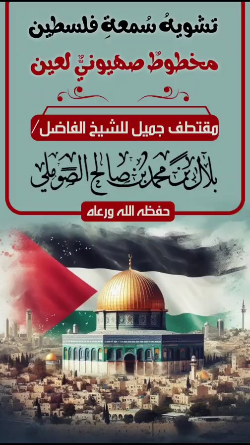صورة الفيديو