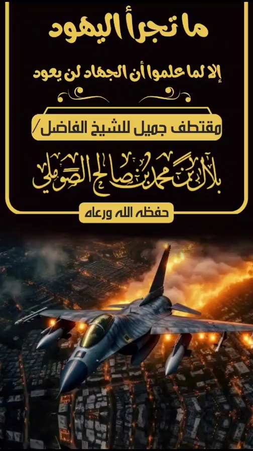 صورة الفيديو