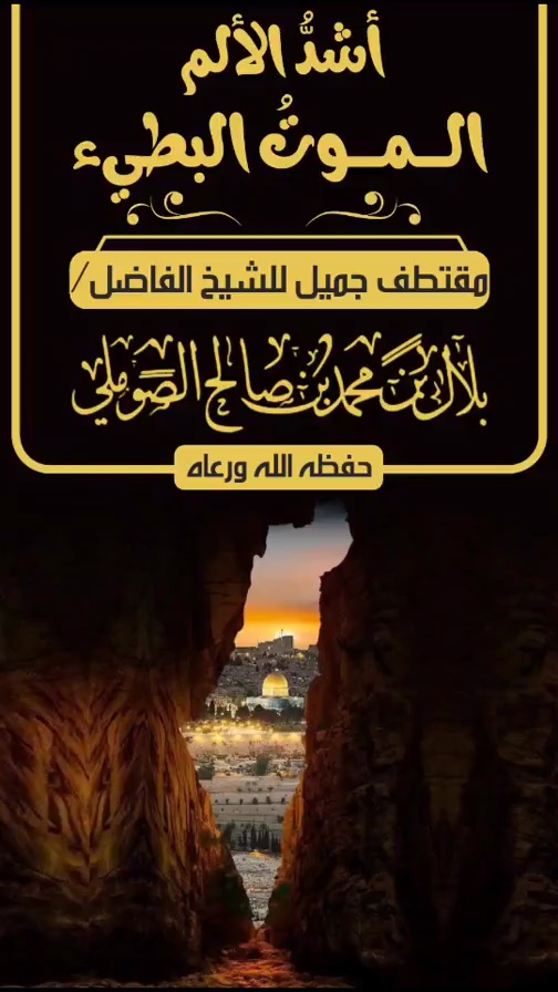 صورة الفيديو