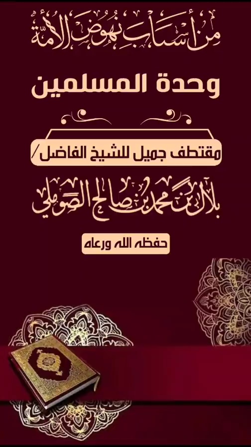 صورة الفيديو