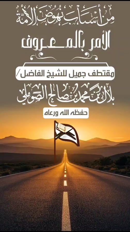 صورة الفيديو