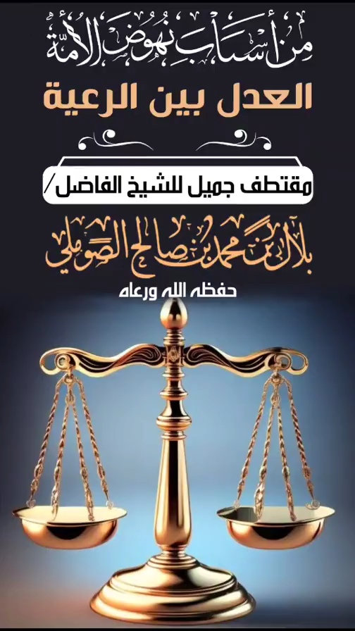 صورة الفيديو