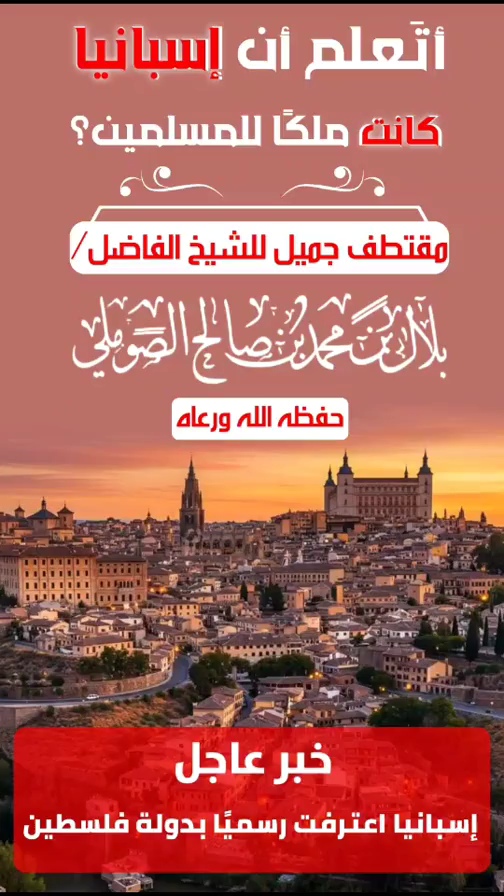 صورة الفيديو