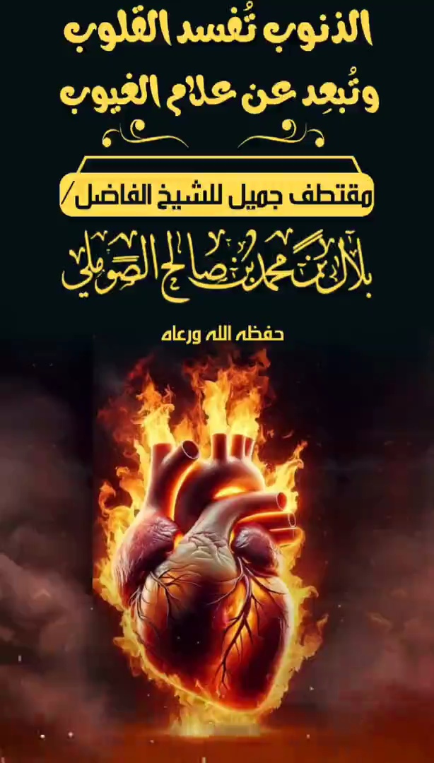 صورة الفيديو