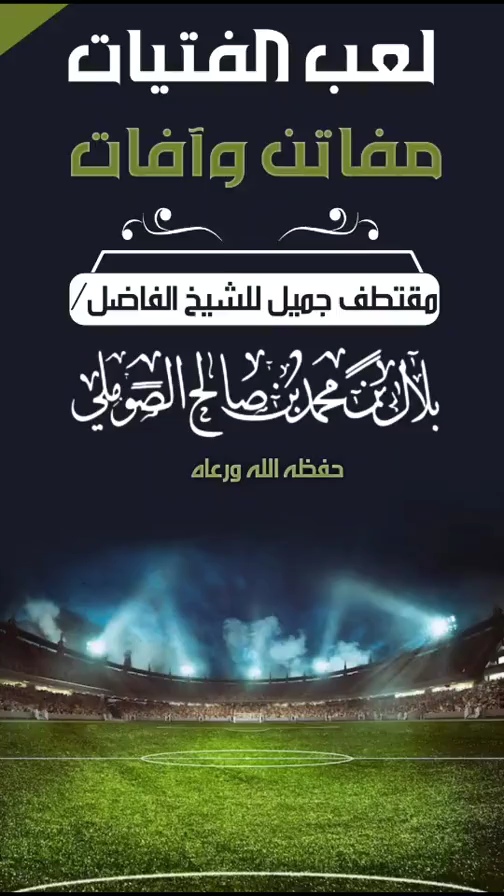 صورة الفيديو