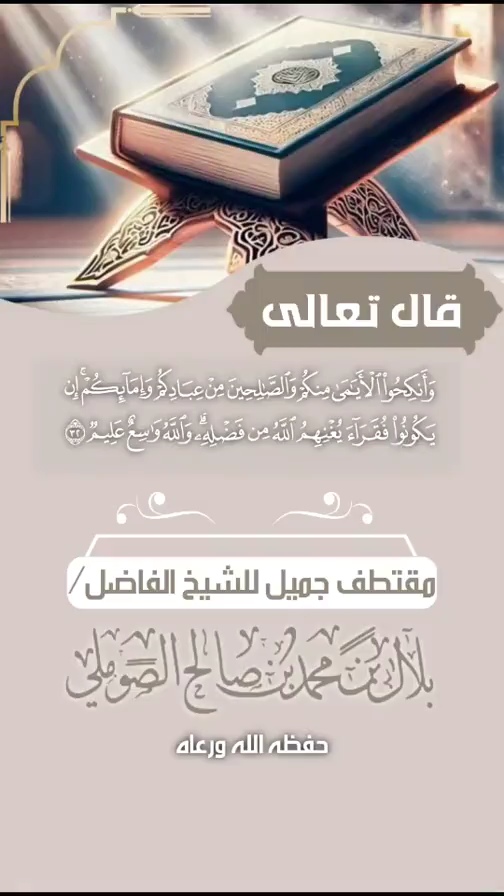 صورة الفيديو