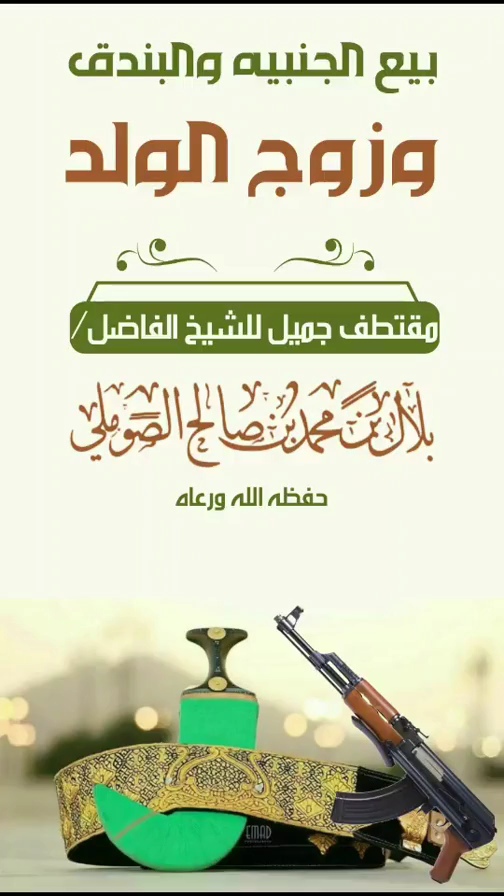 صورة الفيديو