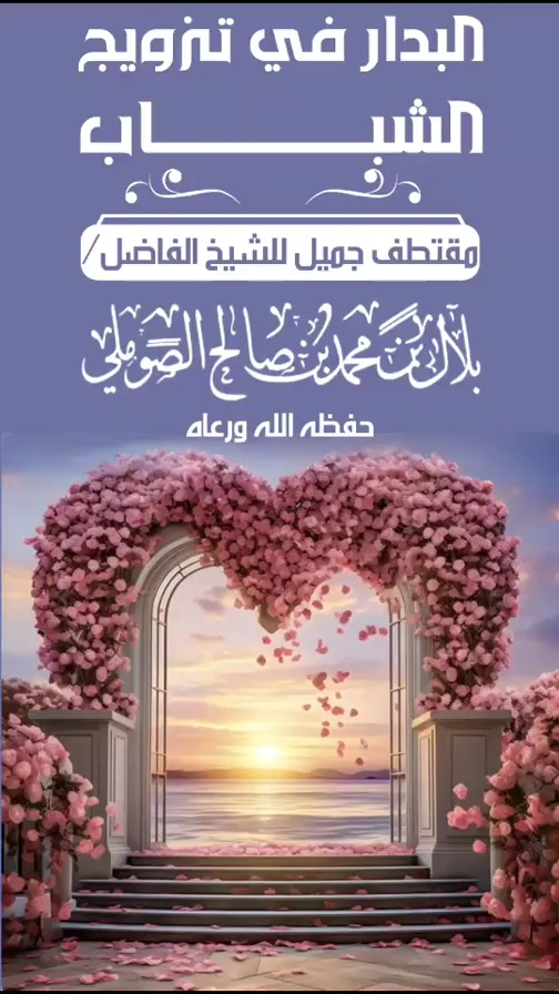 صورة الفيديو