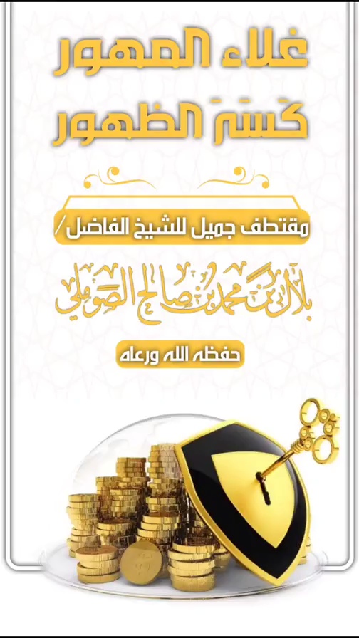 صورة الفيديو