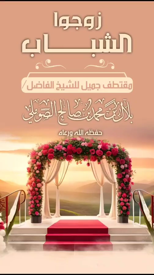 صورة الفيديو