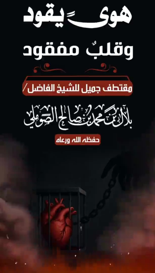 صورة الفيديو
