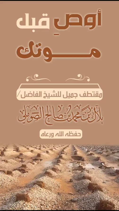 صورة الفيديو