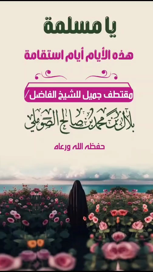 صورة الفيديو