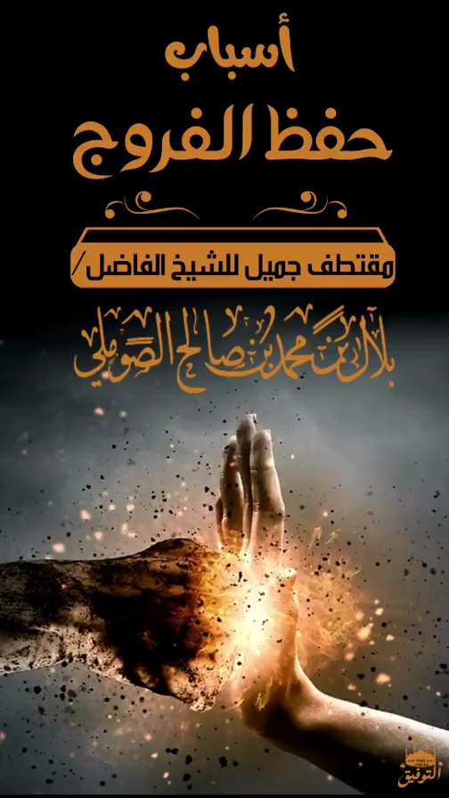 صورة الفيديو