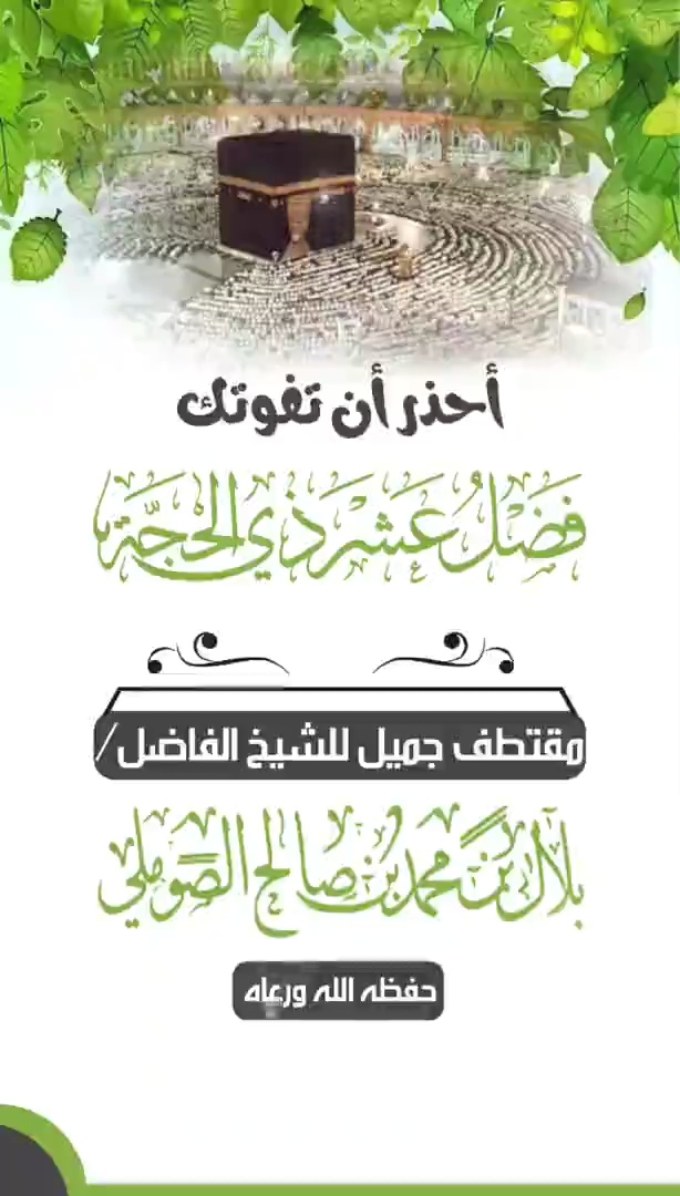 صورة الفيديو