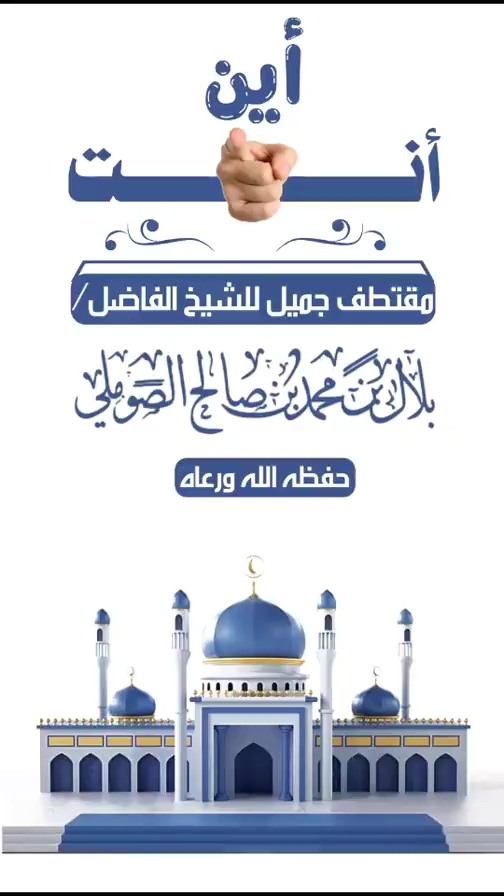 صورة الفيديو