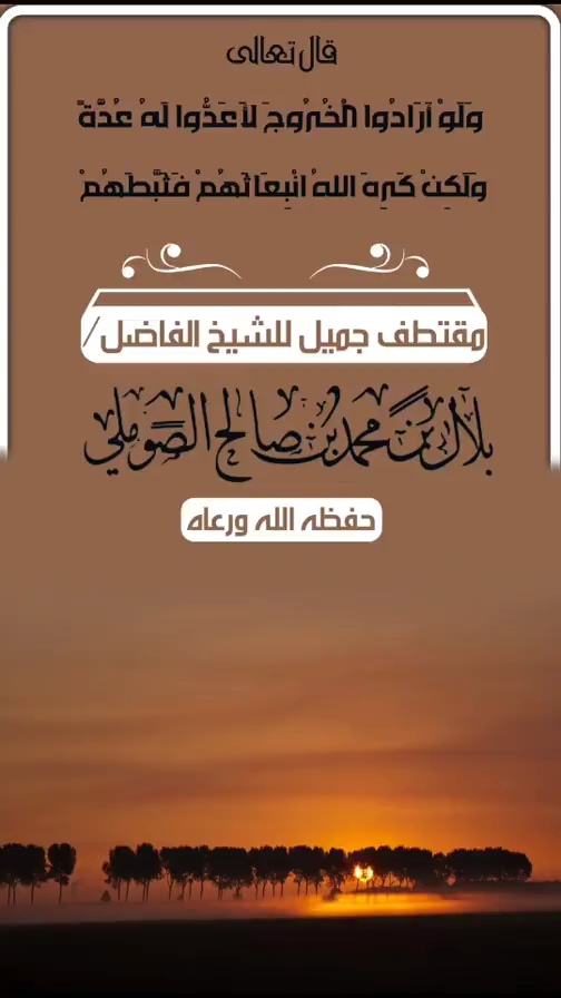 صورة الفيديو