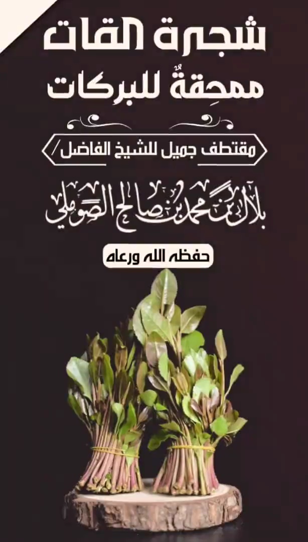 صورة الفيديو