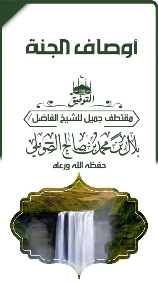 صورة الفيديو
