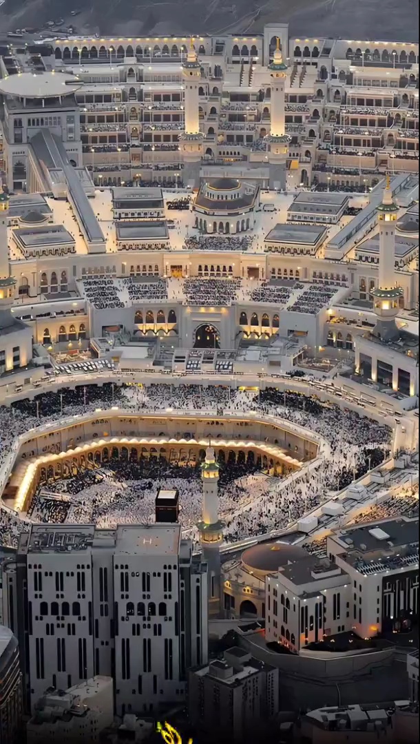 صورة الفيديو