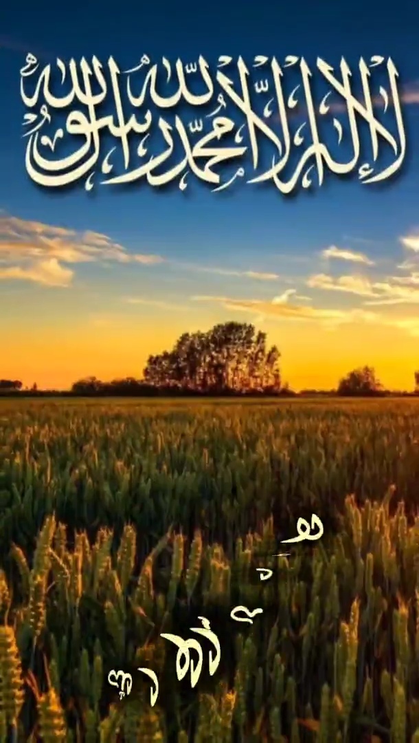 صورة الفيديو