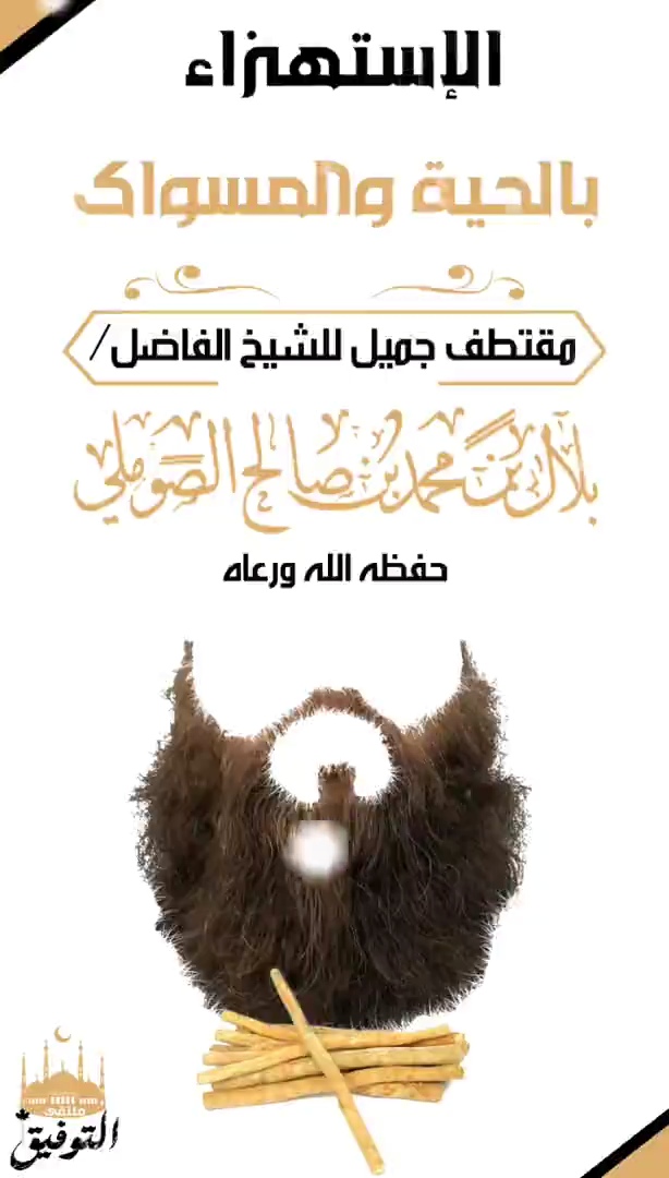 صورة الفيديو